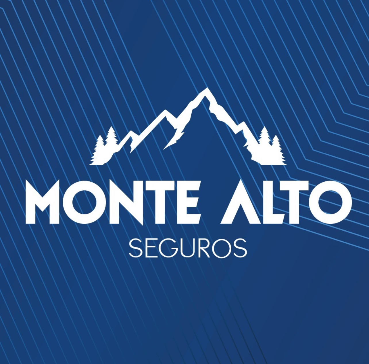 Home – Monte Alto